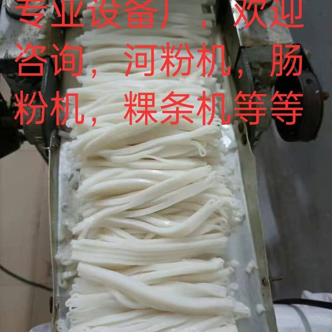 小型全自动米皮机粉皮机切粉机粿条机米面机河粉机商用