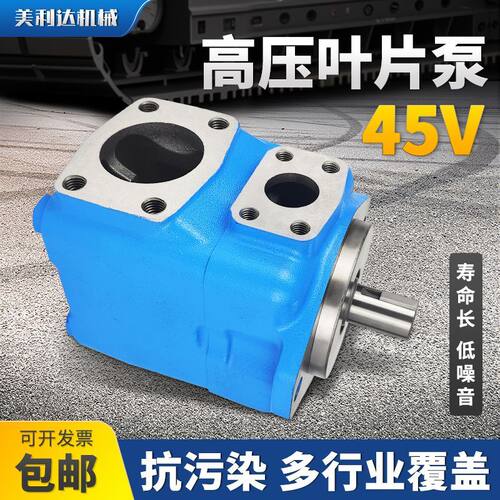 注塑机油泵液压泵45V-42A 45A 50A-86A/86B/86C通用高压叶片泵