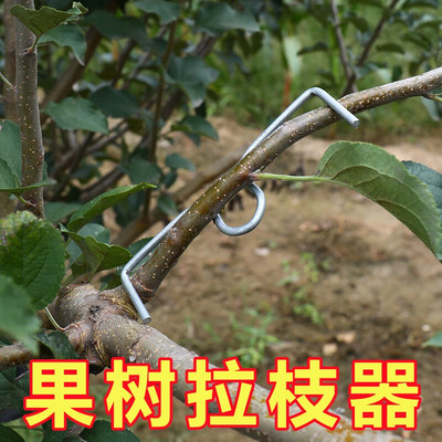 果树压枝神器m型拉枝器w型别枝器拉枝器s压枝弯枝定型拉树枝神器