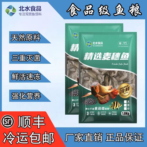 北水天然鲜活速冻麦穗鱼鱼缸上浮金龙鱼虎鱼中鱼观赏鱼冰冻鱼食
