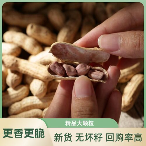 SIMINTE/思闽特龙岩湿烤红衣花生2026新货大颗粒水煮咸香酥脆500g