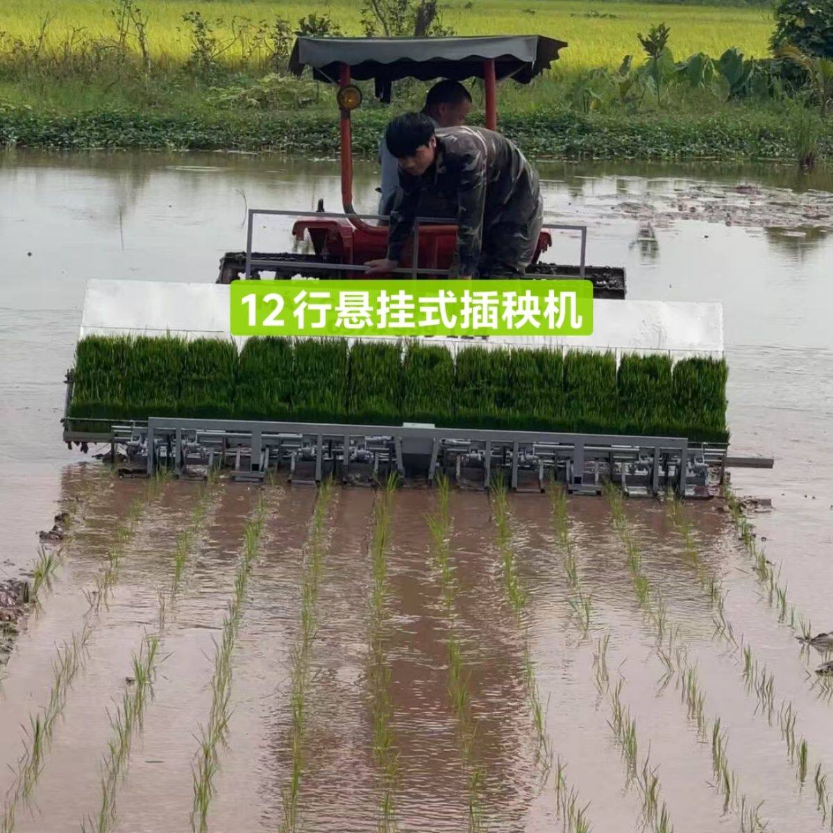 水稻种植6行插秧机4行插秧制种插秧机现代农业机械多行插秧机专业
