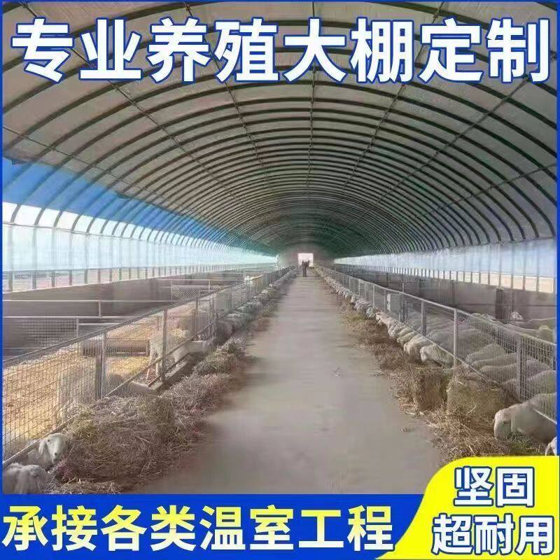 大棚骨架全套拱杆育苗菌菇蔬菜种植大棚椭圆管养殖大棚猪牛羊鸡鸭