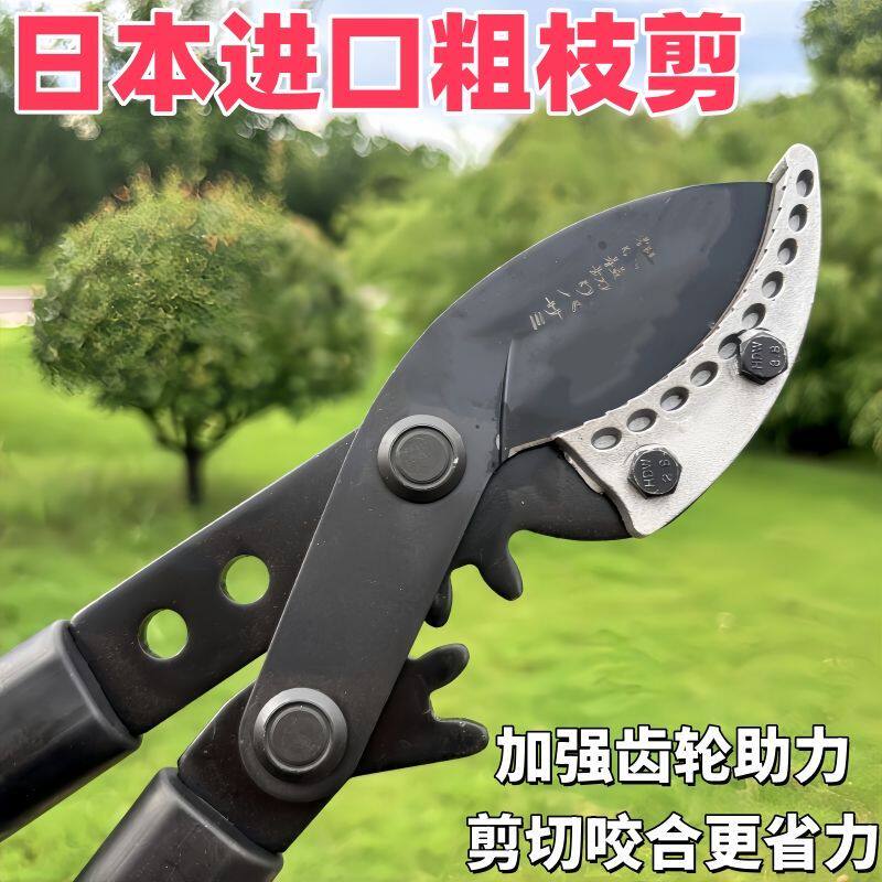 日本原装进口粗枝剪鲨鱼口高枝剪子大力剪园林果树强力伸缩大剪刀