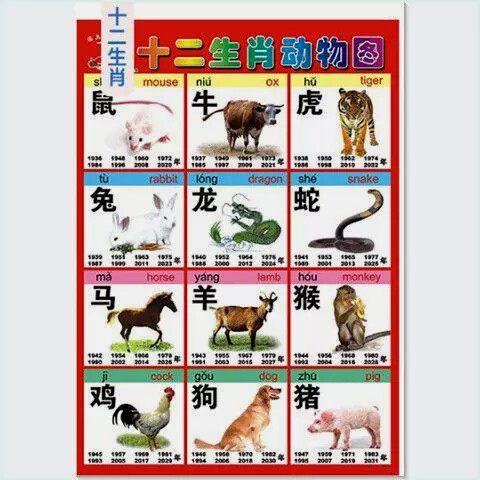 无声挂图十二生肖动物图案益智启蒙宝宝认识动物图片墙画12生肖表