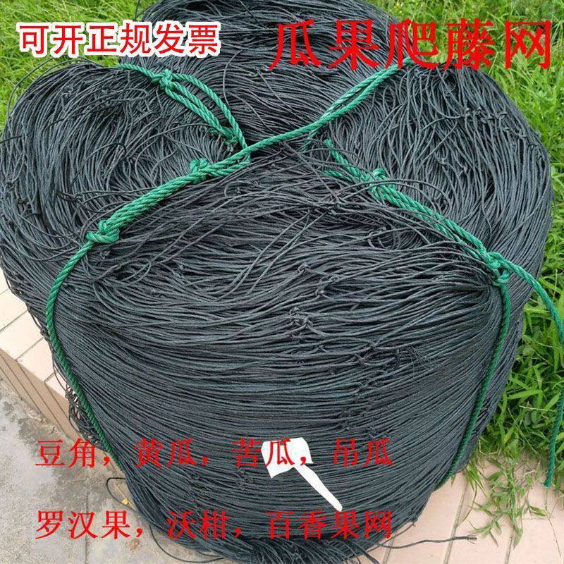 百香果专用爬藤网苦瓜青瓜南瓜吊瓜罗汉果沃柑种植大棚搭架园艺网