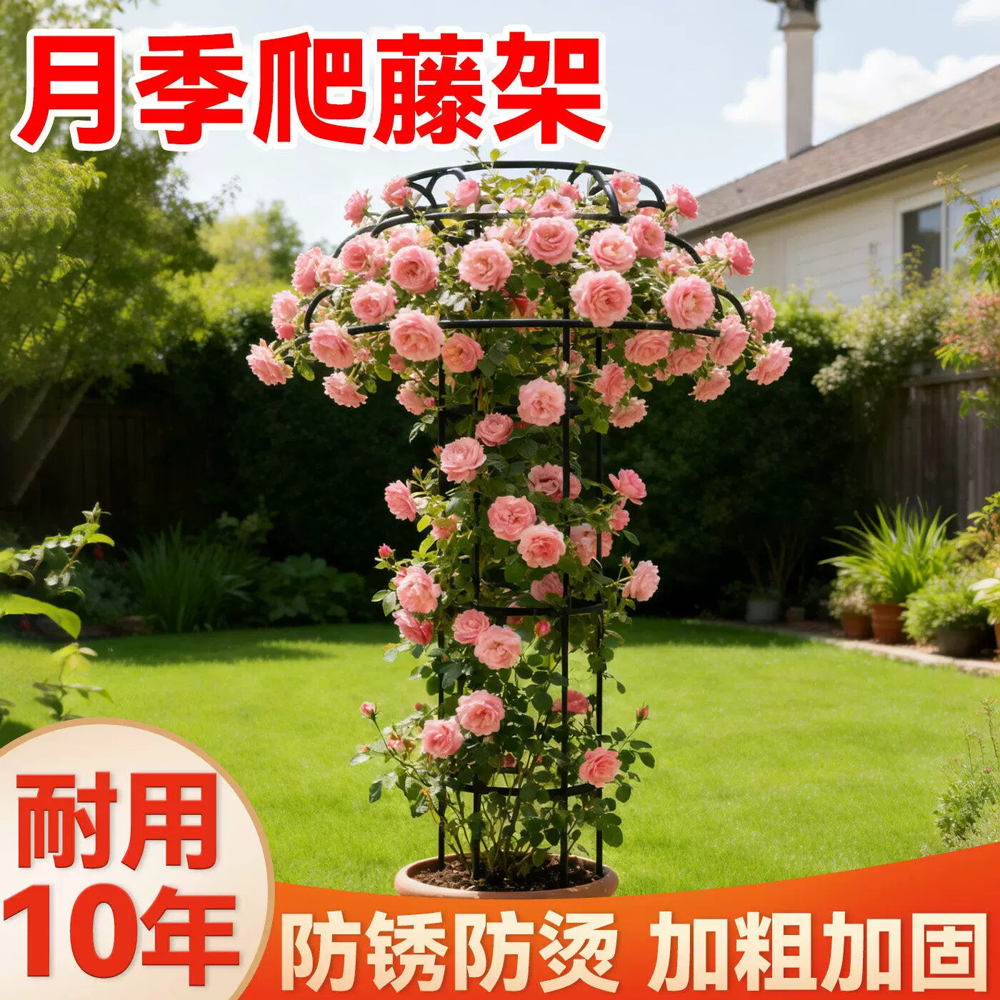 月季爬藤架植物攀爬架伞形花架支撑杆铁线莲飘香藤蔷薇固定花支架