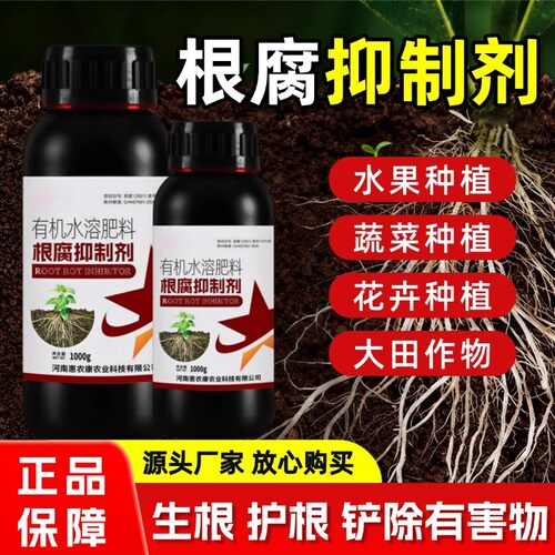 根腐抑制剂2斤装【多买多送】花卉果蔬壮根促长有机水溶肥厂家直