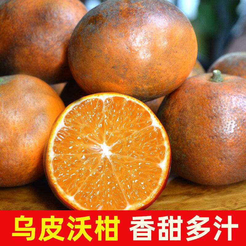 广西乌柑花皮沃柑石灰柑脏脏橙柑橘子当季新鲜水果香甜多汁5-9斤
