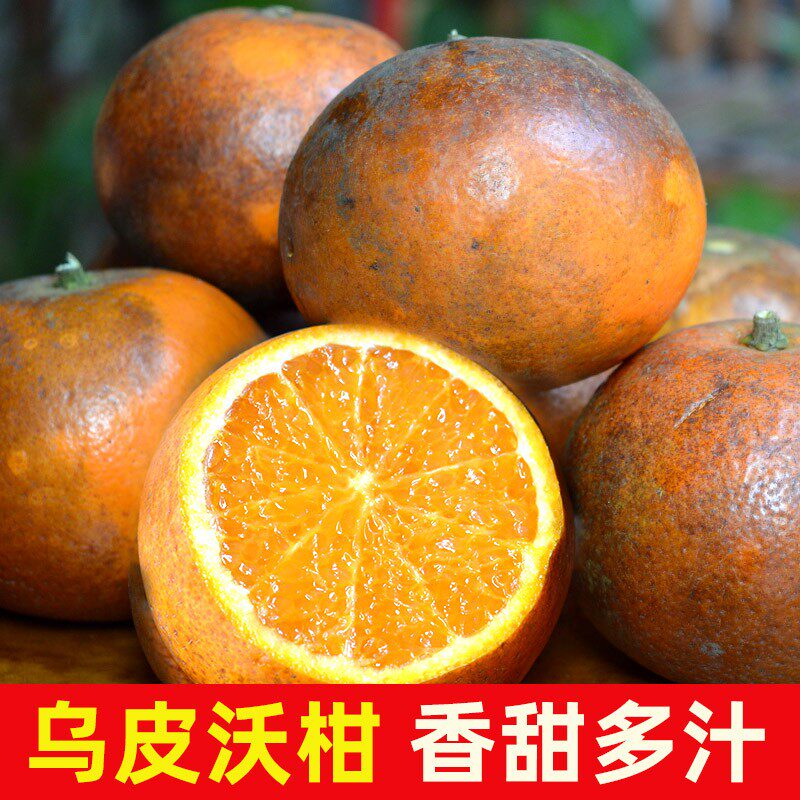 广西乌柑花皮沃柑黑皮丑橙石灰柑脏脏橘子香甜多汁新鲜水果5/9斤