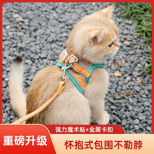 猫咪牵引绳胸背带可调节防挣脱魔术安全扣外出遛猫绳子狗狗牵引绳