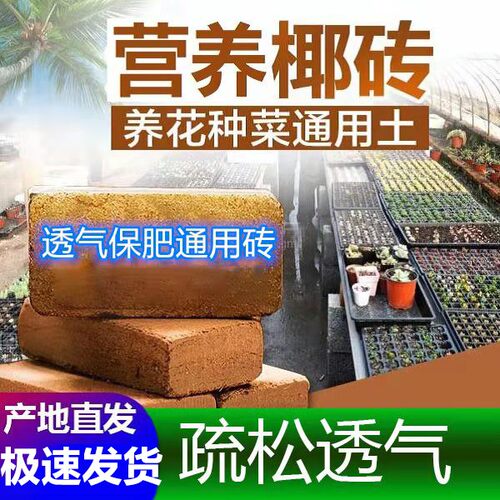 椰砖营养土种菜营养土养花无菌透气椰土营养砖椰糠种菜土四季庭院