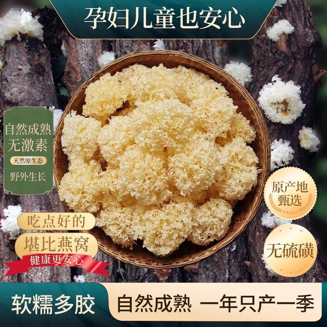 古田高山【小银耳】软糯多胶特产干货银耳羹支持试吃5朵100克起