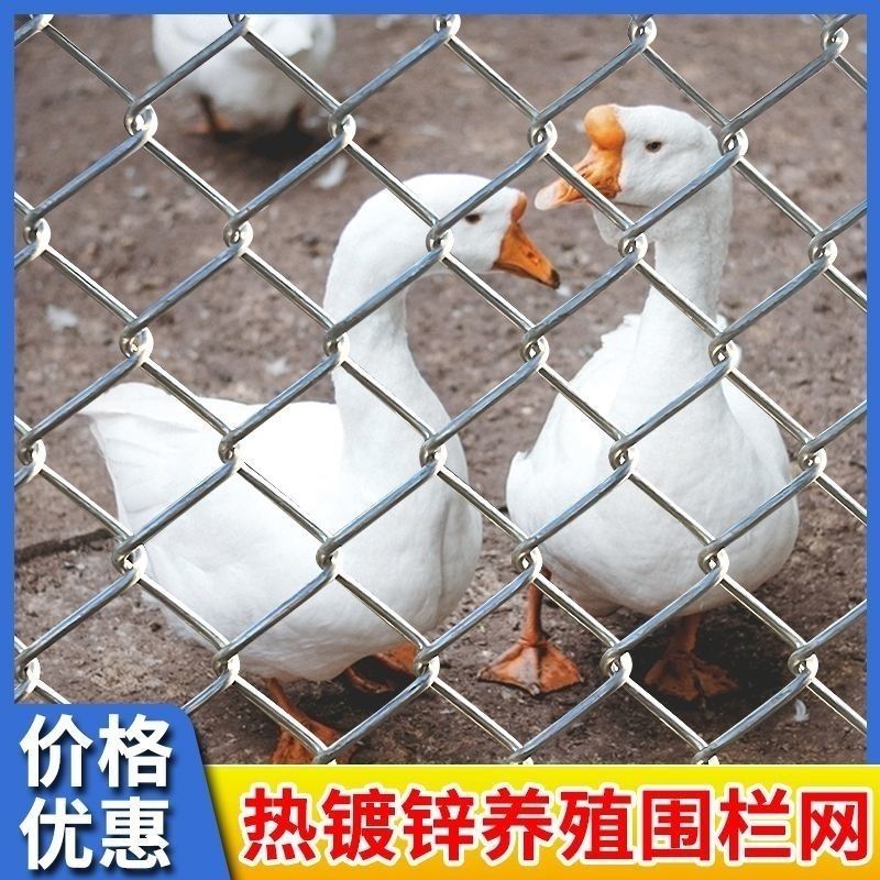 热浸镀锌铁丝网果园钢丝网围栏防护网养殖养鸡牛羊勾花网加粗护栏