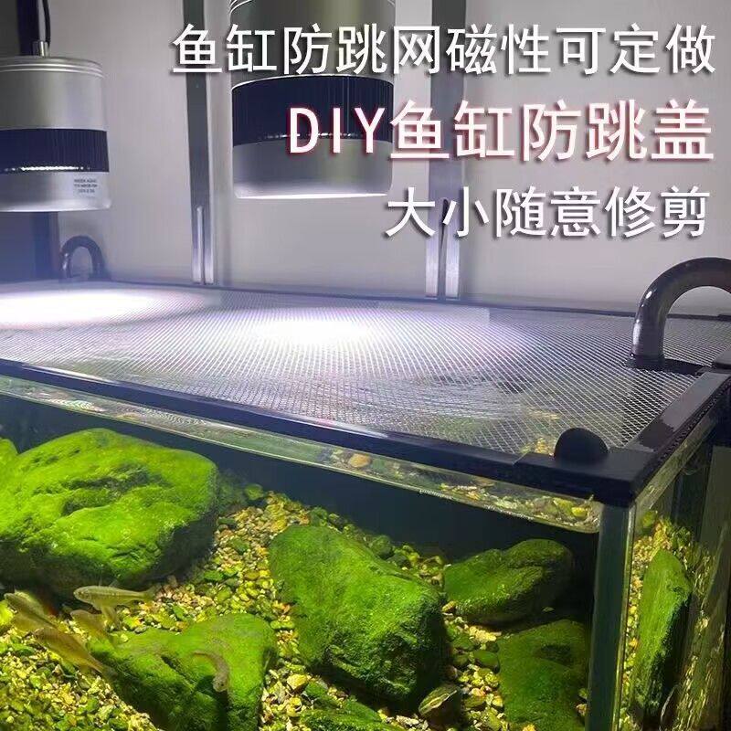 鱼缸内隔离网磁吸鱼缸防跳网鱼缸防逃隔离网防逃板底滤板防水雷龙