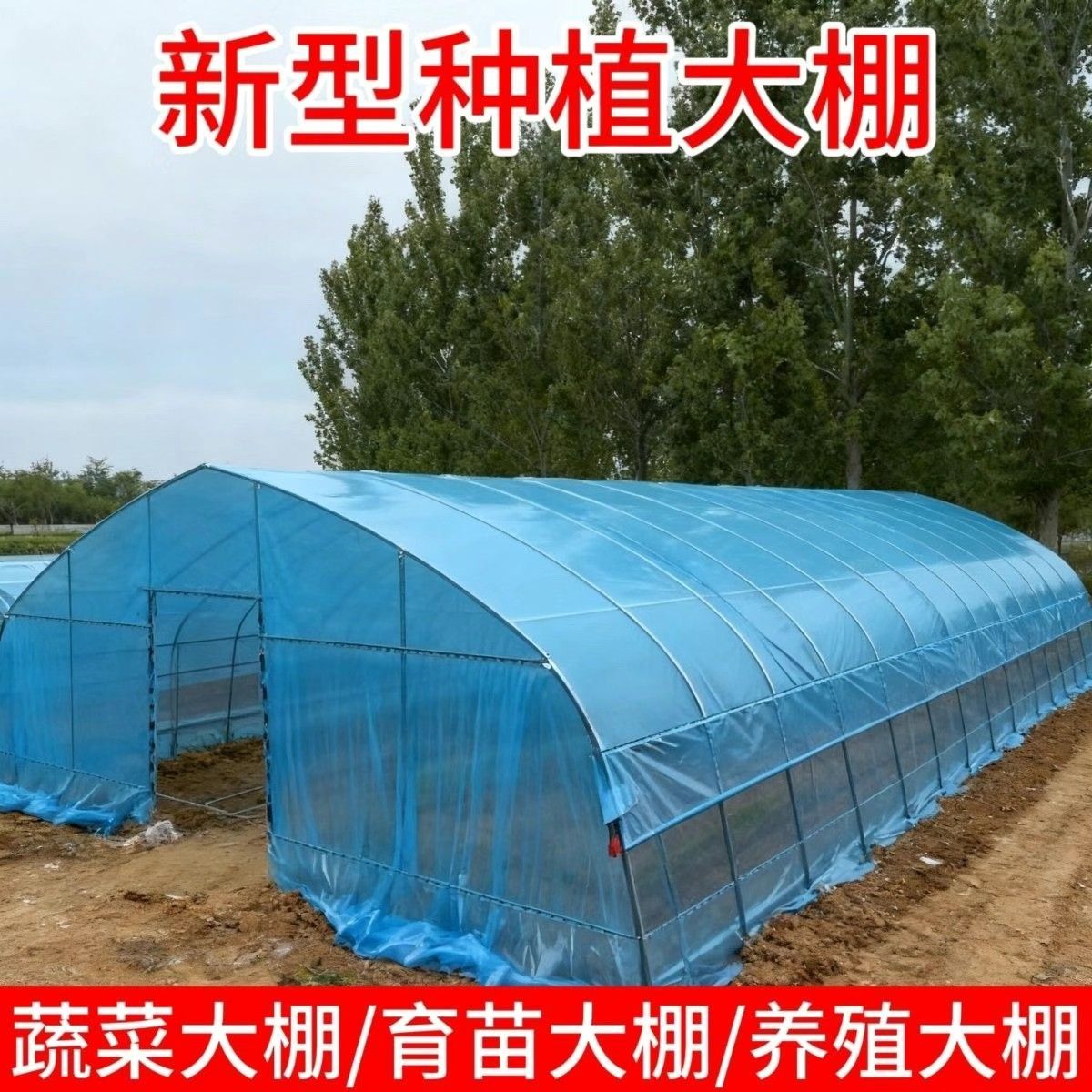 种植大棚支架全套骨架蔬菜育苗棚温室养殖大棚一整套钢架鸡棚猪棚