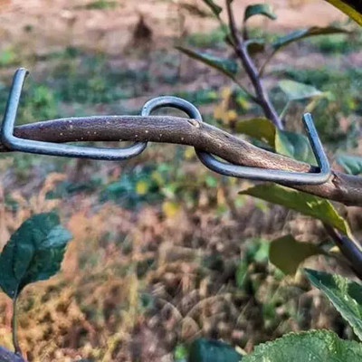 果树拉枝定型器月季压枝神器m型拉枝器压枝器弯枝定型S型别枝盆景