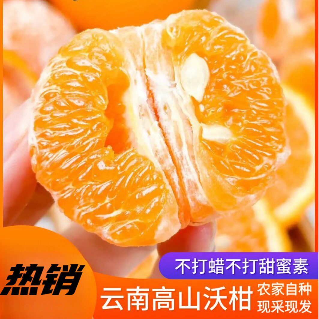 云南高原沃柑新鲜现摘春季5/9斤橙子超甜水果柑橘橘子产地直发维c