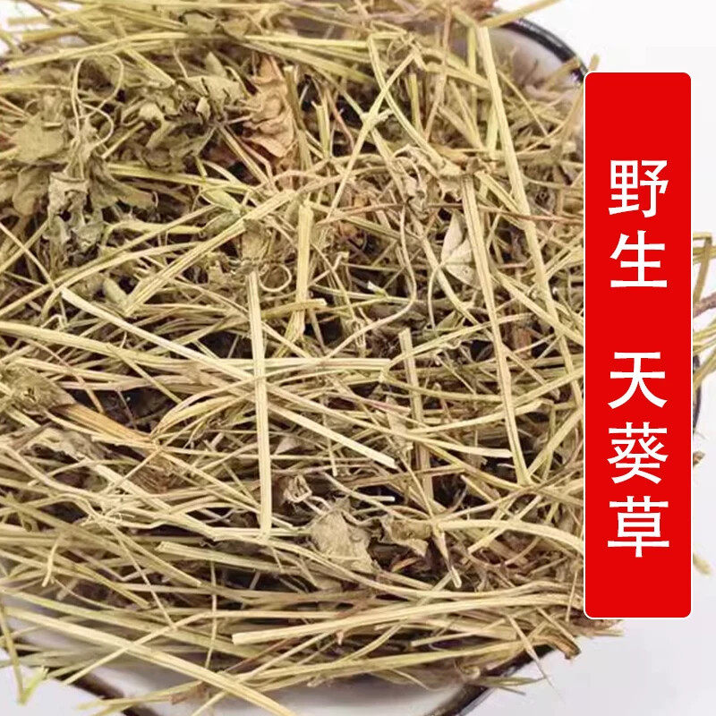 秦岭野生中药材天葵草500g别名紫背天葵 雷丸草 夏无踪 小乌头
