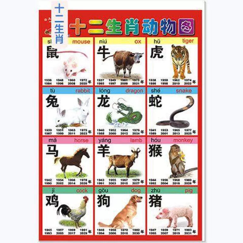 无声挂图十二生肖动物图案益智启蒙宝宝认识动物图片墙画12生肖表