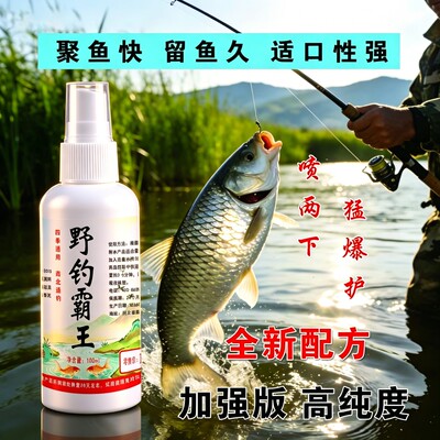 ZY3 新款升级钓鱼饵料通杀南北四季通用专攻野钓黑坑淡水鱼通用