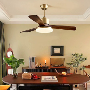 惠普照明美式复古客厅吊扇灯2024新款吸顶餐厅卧室家用一体静音护