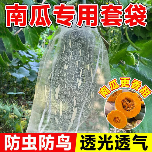 南瓜套袋防虫袋专用网袋不织布布防鸟袋子西瓜冬瓜柚子水果蔬果网