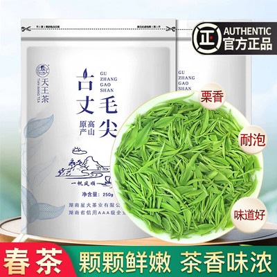 湘西古丈毛尖春茶新茶正宗高山明前绿茶嫩芽茶叶袋装炒青茶浓香型
