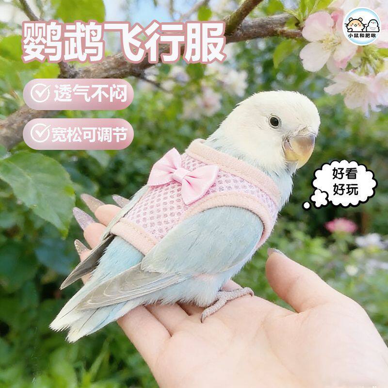 鹦鹉放飞背心鹦鹉专用衣服遛鸟神器背带玄凤虎皮牡丹放飞绳牵引放