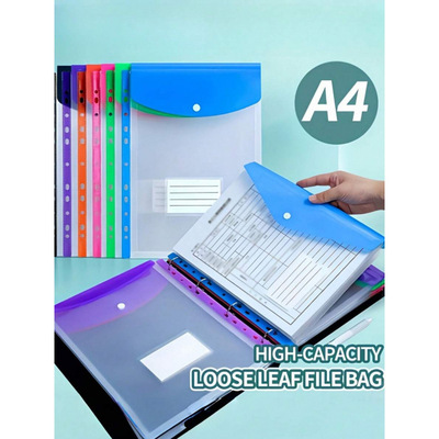 I 79034 Transparent Vertical Document Bag 透明竖式立体文件袋