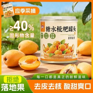 枇杷罐头300g 水果罐头送礼开罐即食零食果肉饱满枇杷 4罐应季