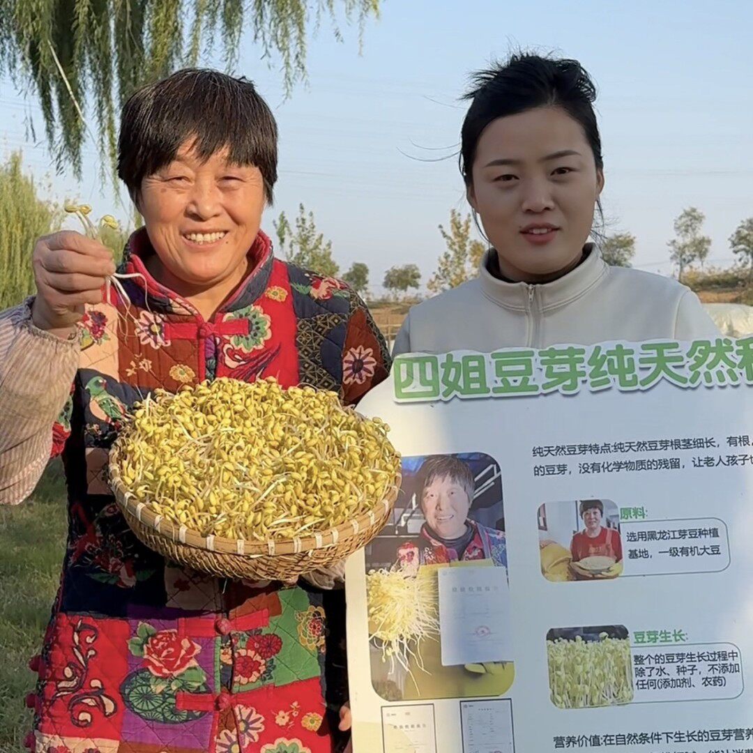 （四姐豆芽）零添加农家自发新鲜小黄豆芽3斤/5斤包邮