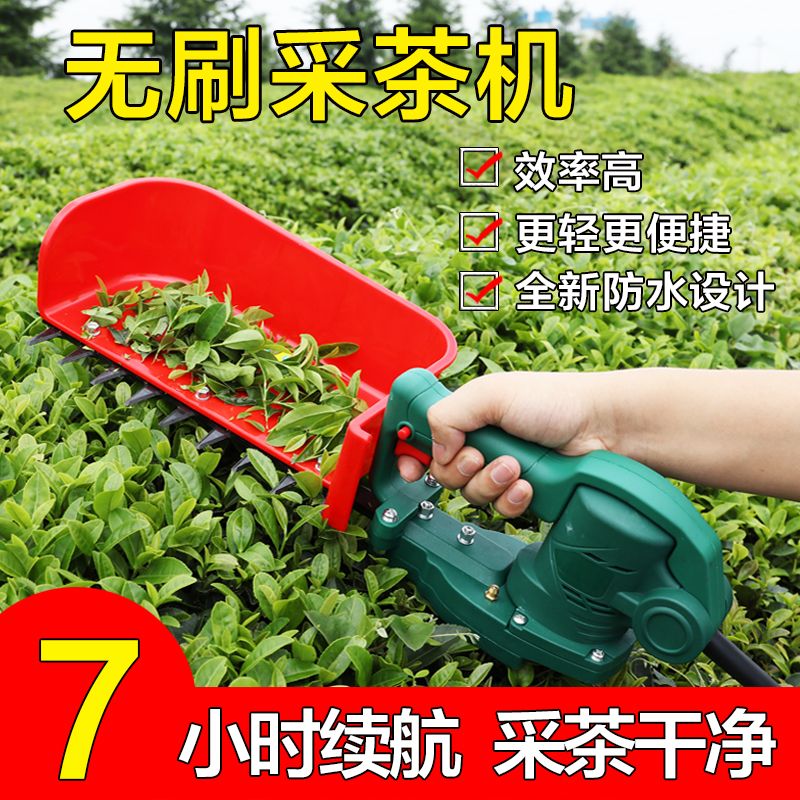 迈越无刷电动采茶机单人手便携式修剪机充电绿篱机小型茶叶采摘机