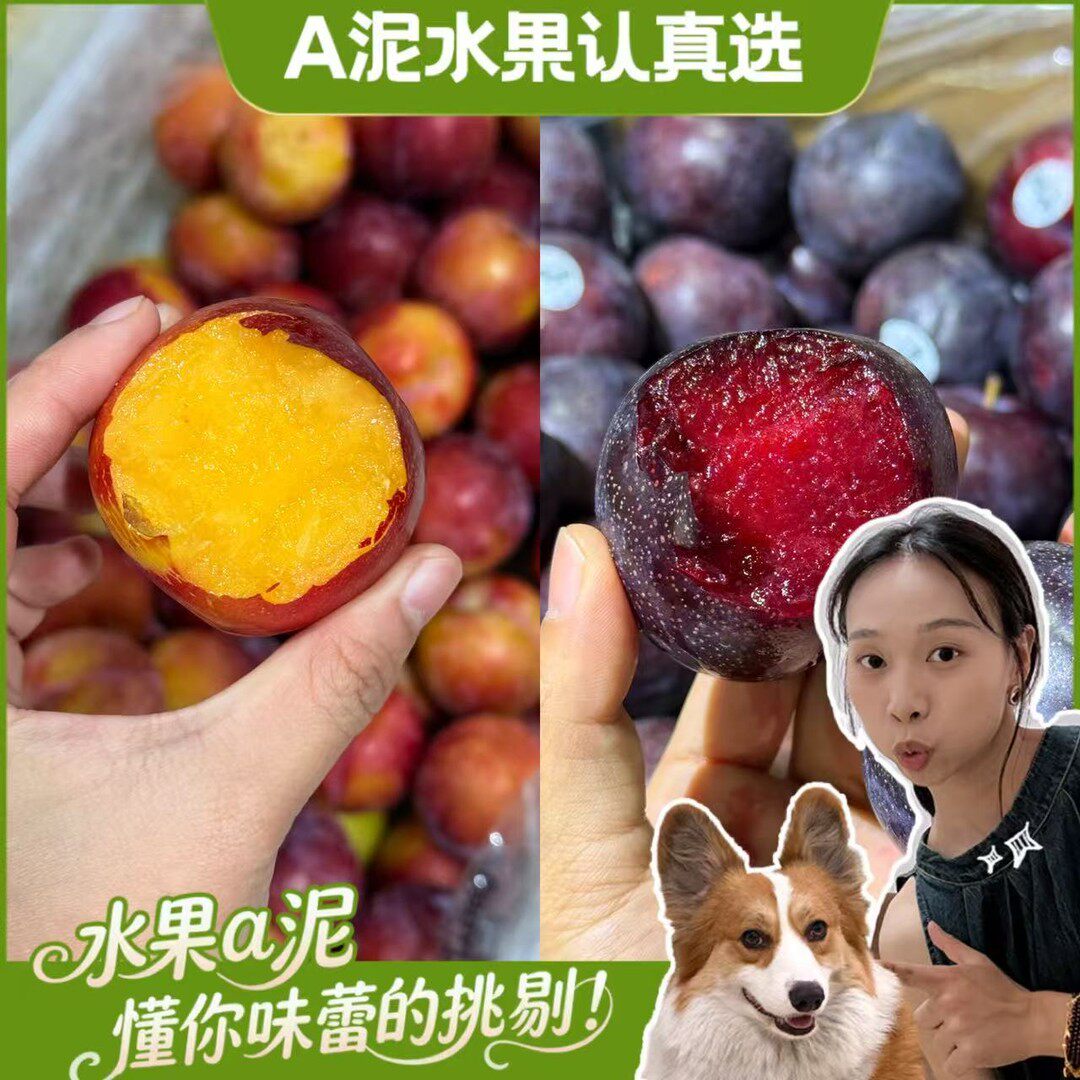 【a泥认真选】智利恐龙蛋 当季新鲜李子 爽脆爆汁香甜【】