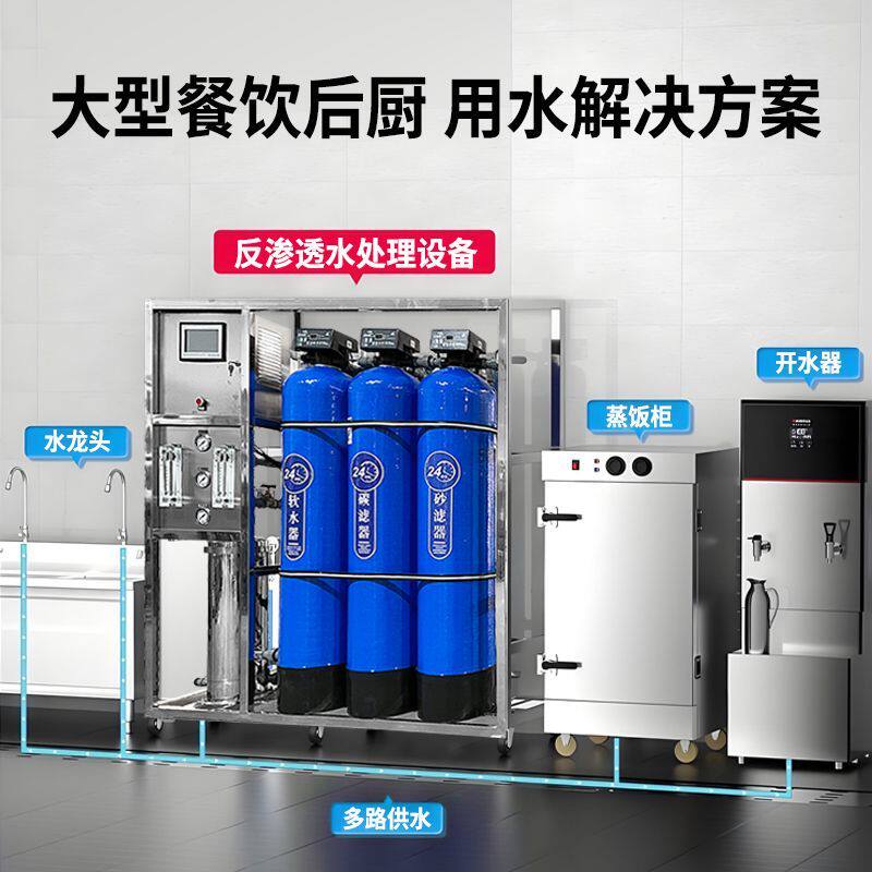 反渗透水处理设备工业纯水机商用ro大型净水自来水地下水升级PLC