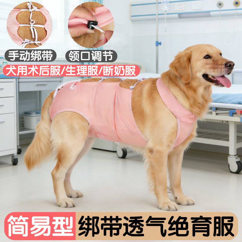 狗狗手术后衣服狗狗绝育手术服绑带简易穿脱透气宠物防舔高弹皮肤