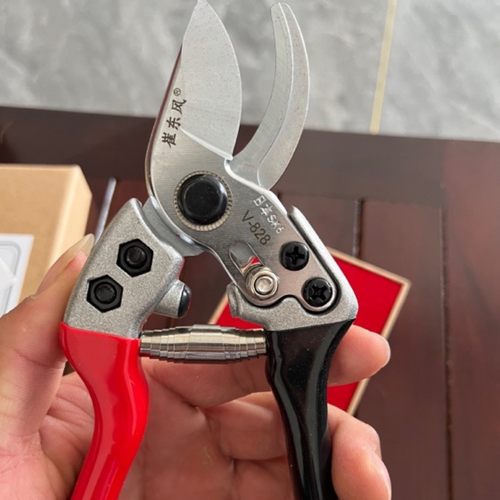 园林工具，手动剪刀