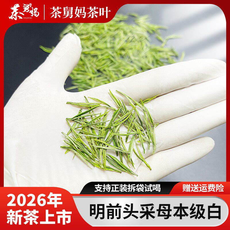 茶舅妈A152026年新茶浙江安吉原产地明前头采白茶高山母本级白
