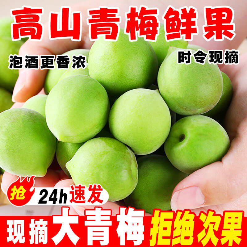 2026新鲜青梅鲜果福建诏安现摘深山鲜果生酸梅子水果泡酒散装5斤