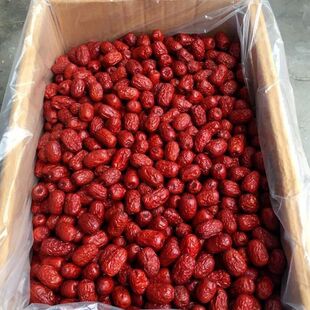 新疆正宗红枣新货枣子农家自产金丝小枣零食煲汤煮粥粽子泡水