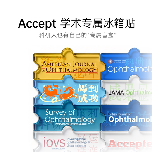 科研玄学好运亚克力冰箱贴盲盒