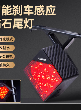 LEADBIKE自行车尾灯双安装支架