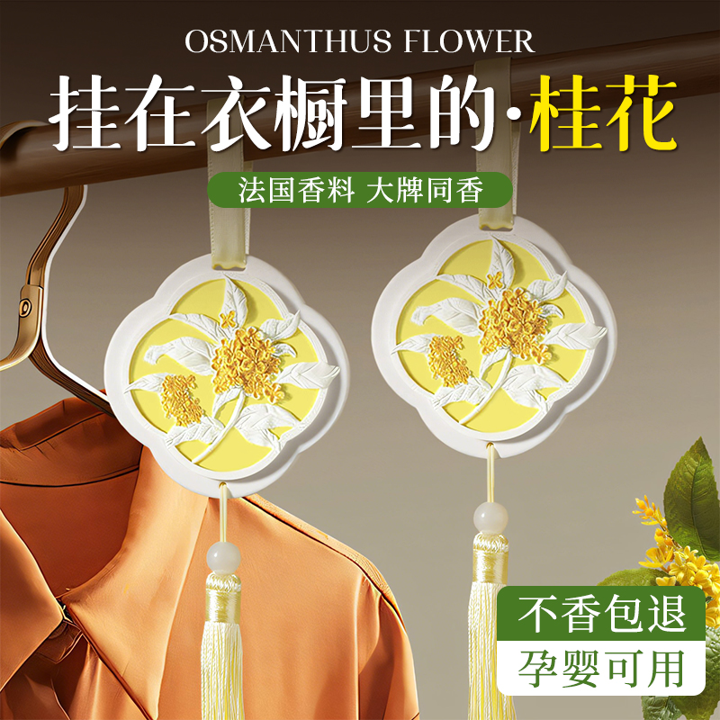 衣柜香薰室内持久留香车载香薰挂件2025新款固体持久香氛汽车香水