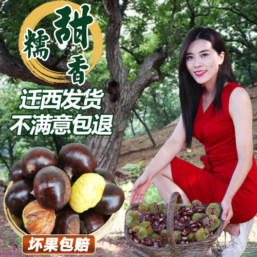2025年正宗迁西板栗 生新鲜甜糯燕山生栗子油栗迁西小伟板栗包邮