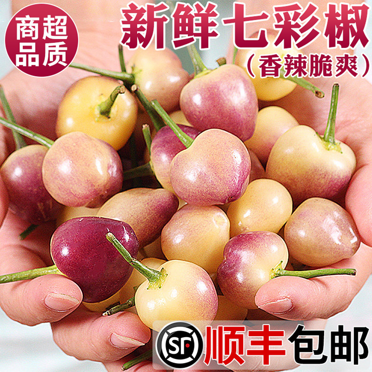 广西特产!七彩辣椒!香辣脆爽