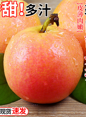 正宗鞍山南果梨当季新鲜现摘南国梨水果香水红皮冻梨东北特产整箱