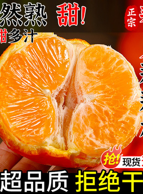 四川春见耙耙柑新鲜水果当季整箱正宗橘子丑柑橘粑粑柑桔大果包邮