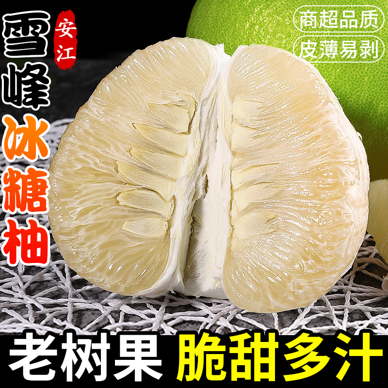 湖南怀化雪峰柚安江冰糖柚子小柚子新鲜水果白心苦柚老树土柚药柚