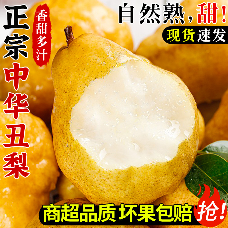 【正宗中华丑梨】现摘！软糯香甜
