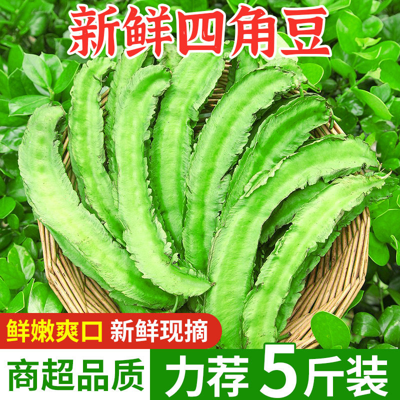 鲜嫩四角豆5斤应当季农家自种龙豆现摘四棱豆皇帝豆新鲜蔬菜包邮3